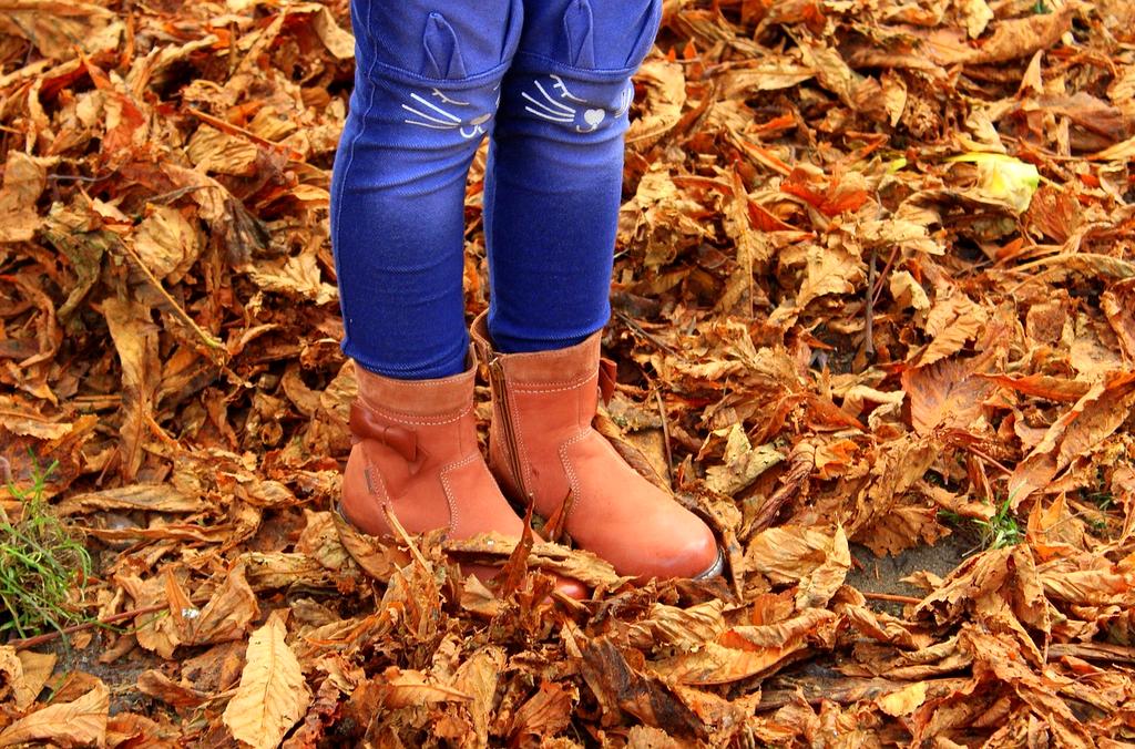Seasonal clothing organized by weather including coats and summer wear